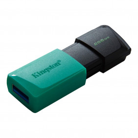 USB, KINGSTON DTXM 256GB USB3.2